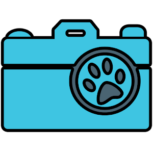 Pose a Pet™ 1.1