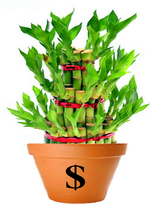 Lucky Bamboo Wallpaper