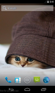 Cute Cat Wallpaper HD Screenshots 4
