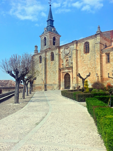 Iglesia Colegial De San Pedro