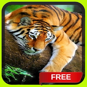 Bengal Tiger Live Wallpaper 1