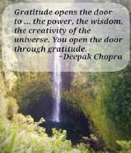 Download Gratitude list PRO! APK for Android