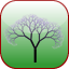 Arbor – TOEFL Vocab (Beginner) logo