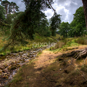 Trough of Bowland Riverside by Andrew Wood - Landscapes Prairies, Meadows & Fields