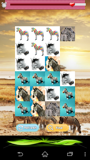 The Zebra Game
