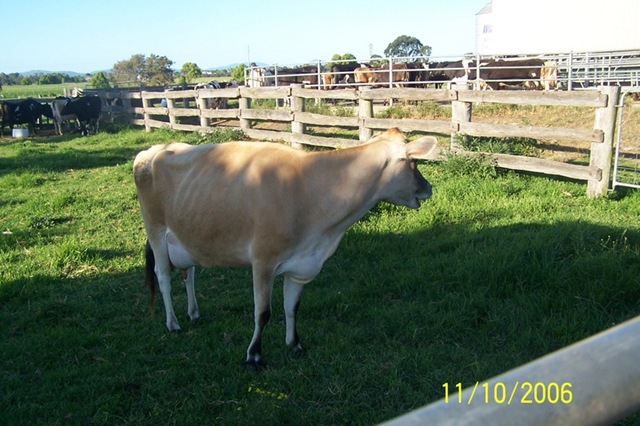 [CowatRuthFarm[2].jpg]