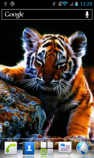 Irradiant Tiger Cub a live