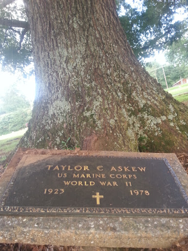 The Tree Of Taylor C Askew Usmc World War 2 Vet