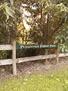Pullenvale Forest Park