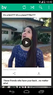 Best Vines - screenshot thumbnail