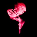 FireFlower_lwp logo