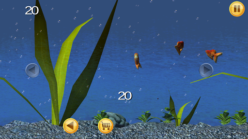 Goldfish Aquarium 3D