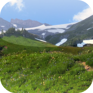 Nature Sounds Relax and Sleep.apk 1.1.1