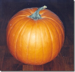 pumpkin1