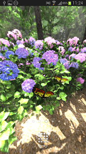 Hydrangea Path 360° Screenshots 1