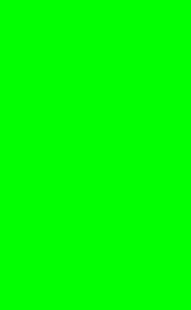Raja Flashlight & Green Screen Screenshots 2
