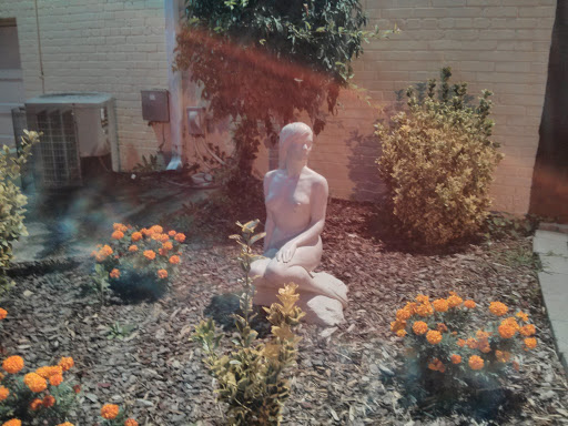 Lady in the Garden of Takoma 