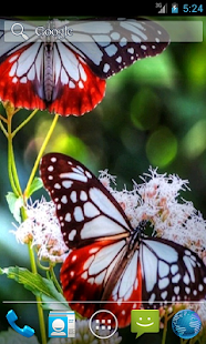 How to get Butterfly Live Wallpaper 1.2 apk for bluestacks