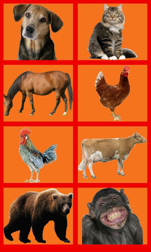 Animal Sounds Soundboard