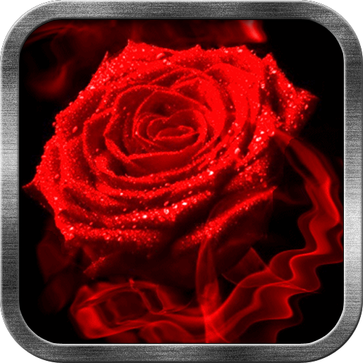 Red Rose Fire Live Wallpaper 個人化 App LOGO-APP開箱王