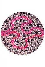 ���� ����������