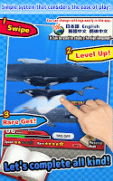 Whales & Dolphins of the World -Simple Kids Game - APK 스크린샷 이미지 #4