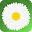 Loves Me Loves Me Not Download on Windows