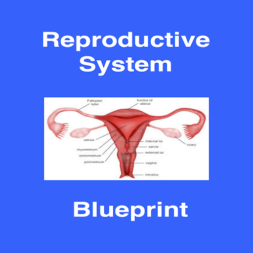 Reproductive Blueprint PANCE