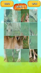 Kangaroo Jigsaw Puzzles Screenshots 2