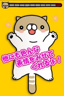 Lastest Tickling cat APK for Android