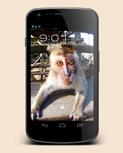 Monkey Sees You Live Wallpaper