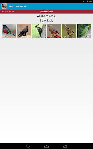 免費下載教育APP|Asian Birds Sounds app開箱文|APP開箱王