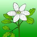 Aktar logo
