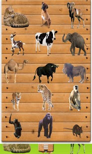 Free Download My First Grade Animals Charts APK