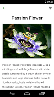 Natural Remedies for Anxiety Screenshots 3