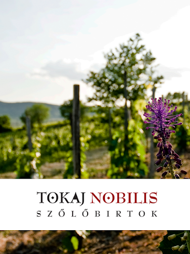 Tokaj Nobilis