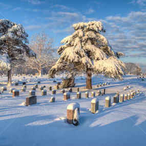High Street Cemetery by David Stone - City,  Street & Park Cemeteries