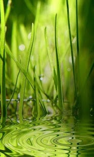 Free Download AB Abstract Wallpapers APK for PC