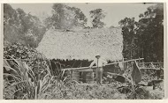 Dutch Man Poses in a Village near Moengo