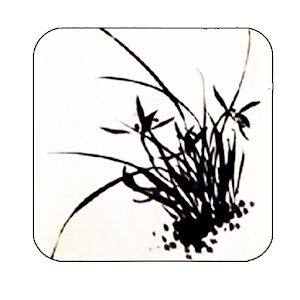 orchid bw inkwash wallpaper 5.0