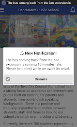 Cabramatta Public School poster 8