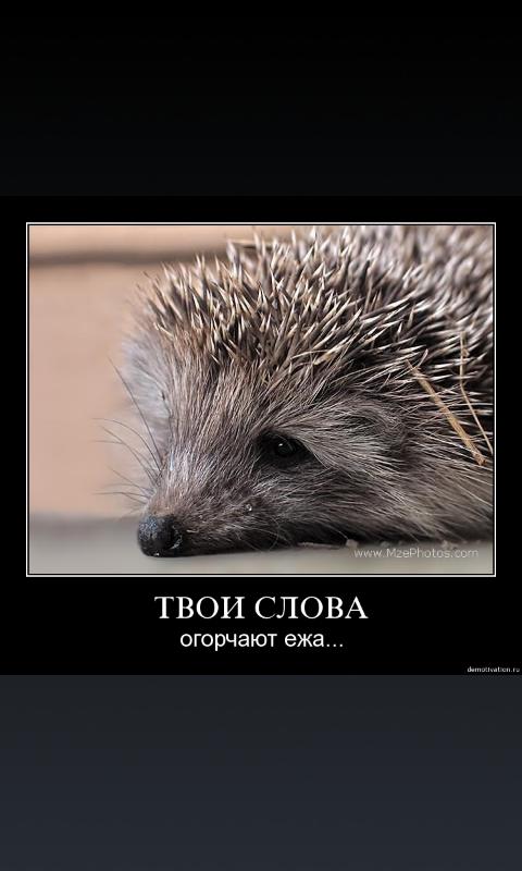 Demotivators without ads Screen 1