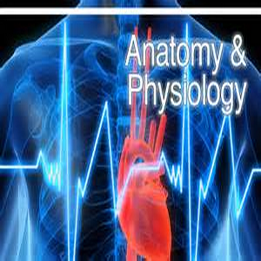 Anatomy And Physiology LOGO-APP點子