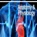 Baixar aplicação Anatomy & Physiology Instalar Mais recente APK Downloader