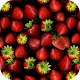 Download Berries Live Wallpaper For PC Windows and Mac 2.0