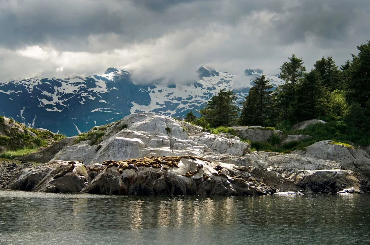 Glacier-Bay-Marble-Islands - Marble Islands, Glacier Bay National Park, Alaska.