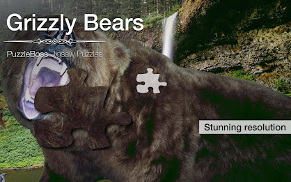 Grizzly Bear Jigsaws Demo poster 9