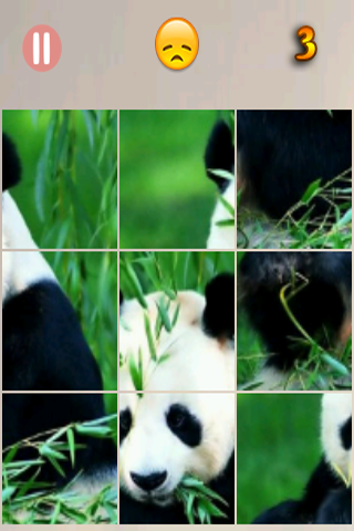 AnimalPuzzle Screen 2
