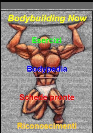 Bodybuilding Now