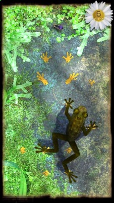 Ancient Frogのおすすめ画像2